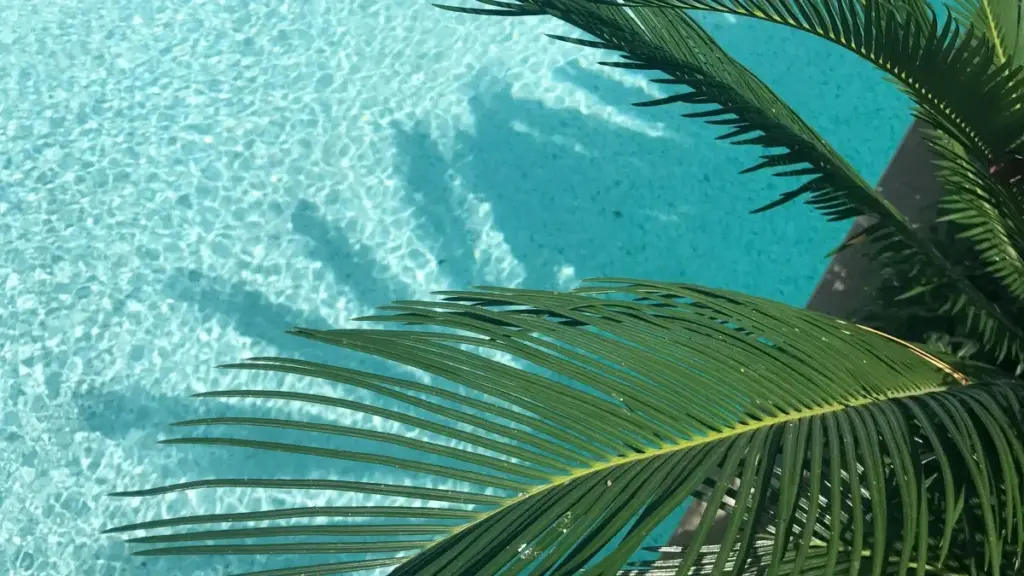 Guia prático para criadores em Angola — tácticas, canais e exemplos reais para contactar marcas dos Países Baixos no Etsy e lançar sorteios que engajem audiências.