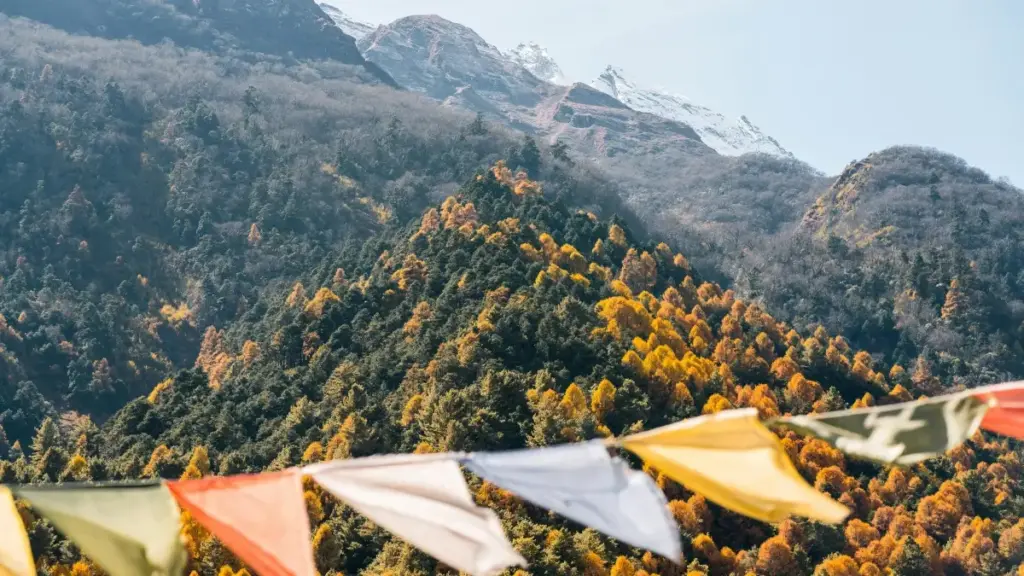 Guia prático para criadores em Angola sobre como contactar marcas nigerianas no Lazada e entrar em lançamentos beta exclusivos.