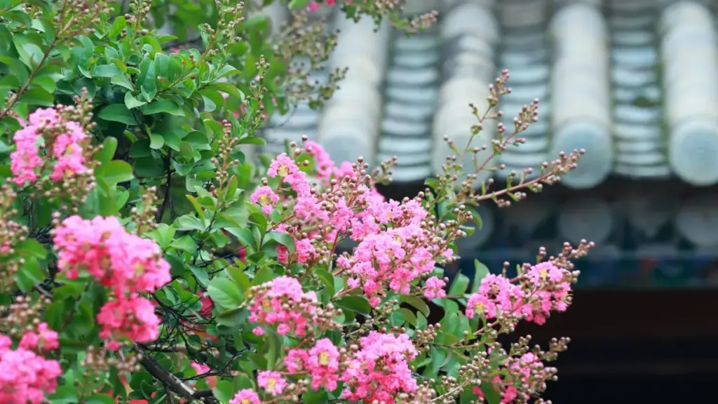 Guia prático para criadores em Angola: como abordar marcas da Arábia Saudita no TikTok para estilizar looks com produtos da marca.