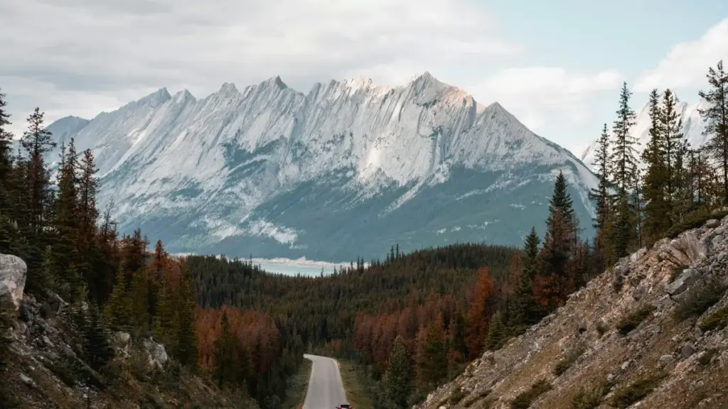 Guia prático para criadores em Angola: como contactar marcas eslovacas no Discord, gerar hype e preparar lançamentos com táticas reais e exemplos.
