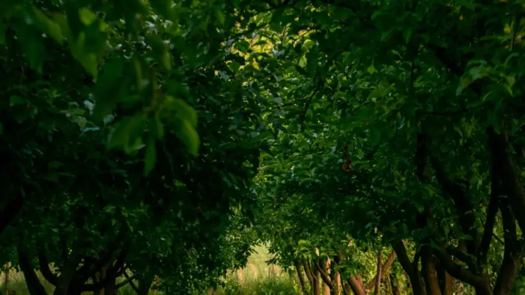 Guia prático para criadores e publishers em Angola: como abordar marcas espanholas via Hulu/Disney+ e fechar parcerias com estúdios de jogos.