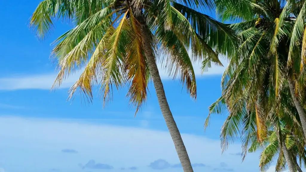 Guia prático para anunciantes em Angola encontrarem criadores WeChat na Suíça e aumentar interação com público chinês e internacional.