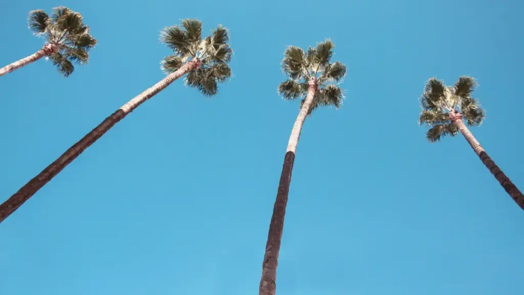 Guia prático para anunciantes em Angola encontrarem creators do Uruguai no Snapchat e montar campanhas sazonais com ROI real.