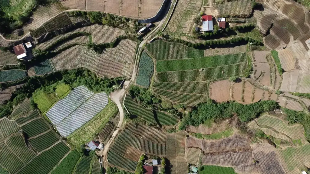 Guia prático para criadores em Angola sobre como encontrar, contactar e negociar com marcas israelitas na Shopee para criar guias de viagem rentáveis.