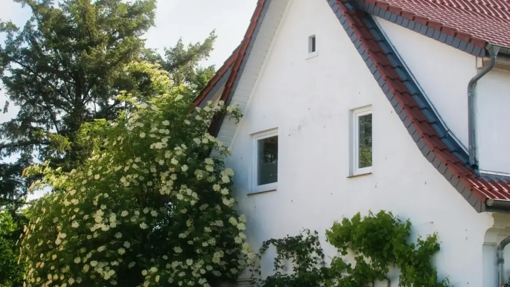 Guia prático para criadores em Angola sobre como chegar a marcas polacas no Spotify e negociar reviews long‑form, com táticas, exemplos e checklist.