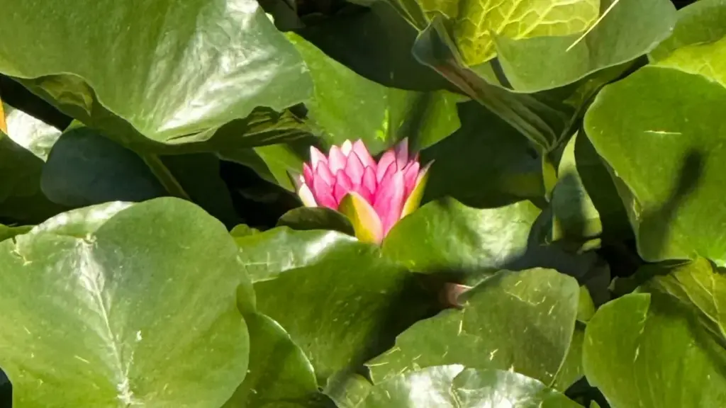 Guia prático para marcas angolanas encontrarem criadores noruegueses no Threads e comissionarem reviews visuais autênticos — táticas, plataformas e checklist.