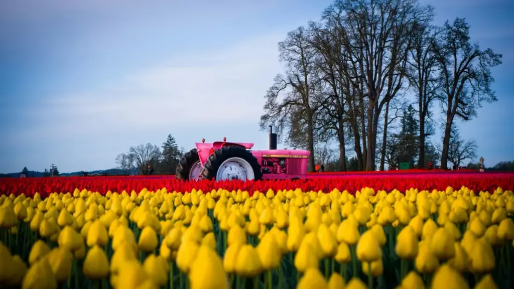 Guia prático para marcas angolanas encontrarem criadores LinkedIn no Luxemburgo e lançar linhas de suplementos com segurança e resultados.