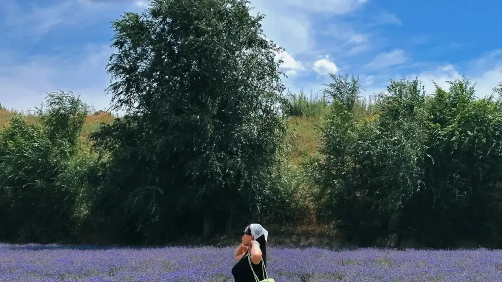 Guia prático para criadores em Angola que querem representar marcas de fitness da Irlanda usando KakaoTalk: táticas, mensagens, GDPR e exemplos reais.