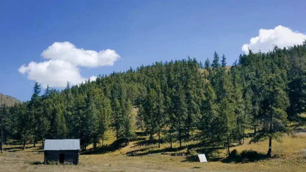 Guia prático para criadores em Angola contactar marcas da Eslováquia no Instagram e conseguir reviews de plataformas de aprendizagem — passos táticos, exemplos e riscos.