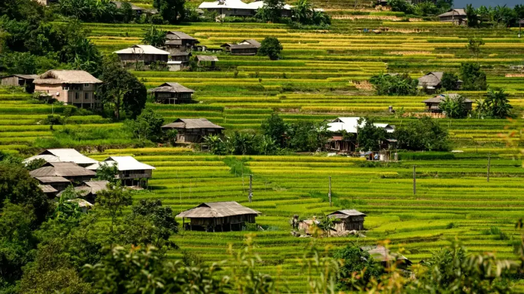 Guia prático para criadores em Angola: passos, abordagem cultural e táticas tech para conectar com marcas da Arábia Saudita no Shopee e propor desafios musicais virais.