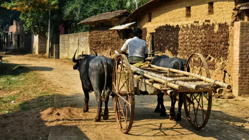 Guia prático para marcas em Angola encontrarem criadores mexicanos no Rumble e formar parcerias de longo prazo com mid-tiers.
