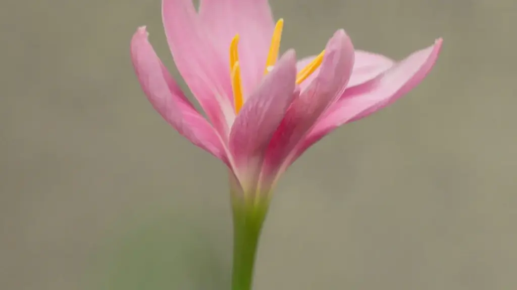 Guia prático para criadores em Angola que querem trabalhar com marcas da Polónia no Snapchat — contacto, localização de conteúdo e dicas de negociação.