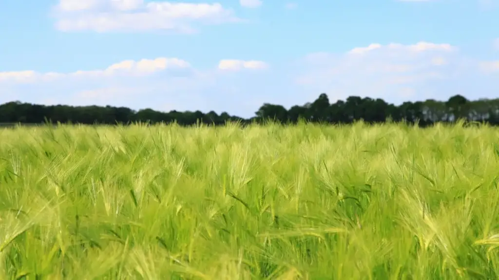 Guia prático para criadores em Angola: como identificar, abordar e fechar parcerias com marcas de Singapura no LinkedIn para transmitir conteúdo de jogos patrocinado.