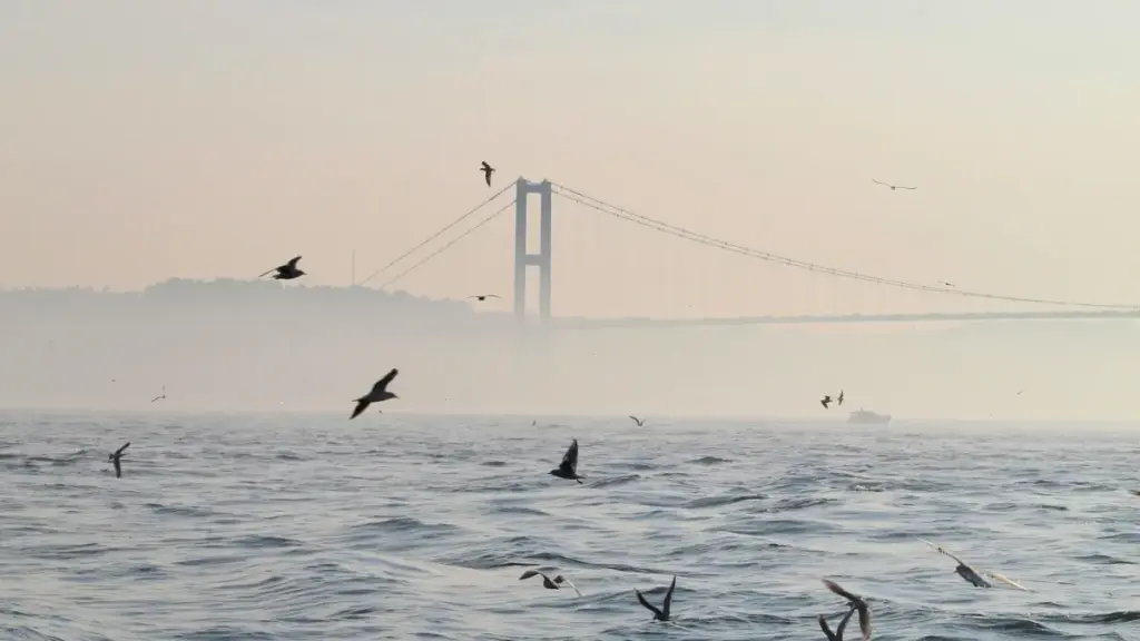 Guia prático para anunciantes em Angola sobre como encontrar e ativar creators tailandeses no KakaoTalk para testar SaaS com nichos específicos — tácticas, riscos e canais.