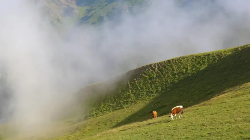 Guia prático para marcas em Angola encontrarem e contratar creators de Montenegro no Takatak para reviews visuais.