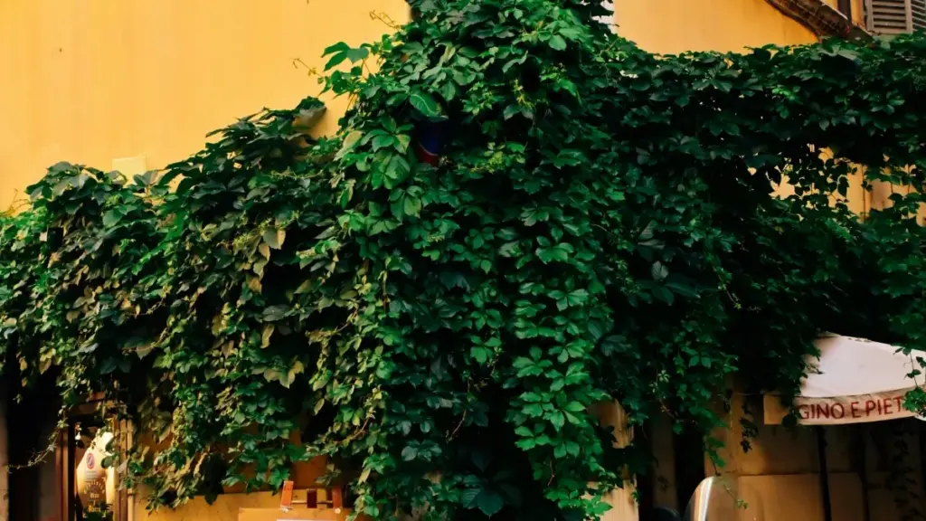 Guia prático para criadores em Angola: como prospectar marcas indonésias que anunciam na Hulu e negociar GRWM videos com estratégias locais e táticas de contacto.