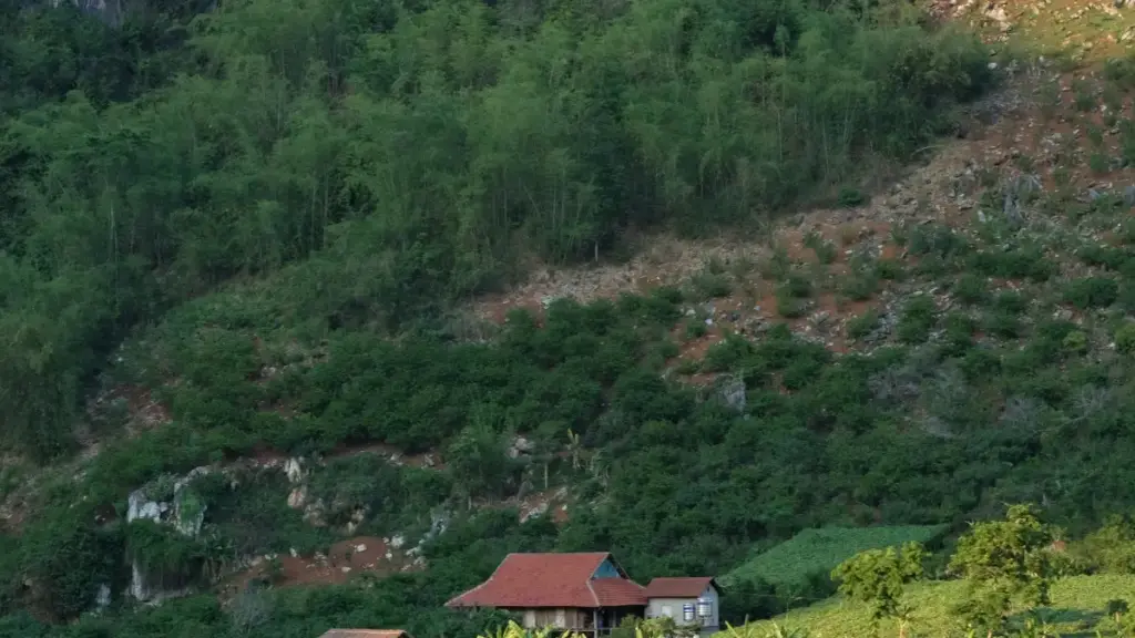 Guia prático para criadores angolanos alcançarem marcas russas no YouTube e concorrerem a lançamentos beta exclusivos.