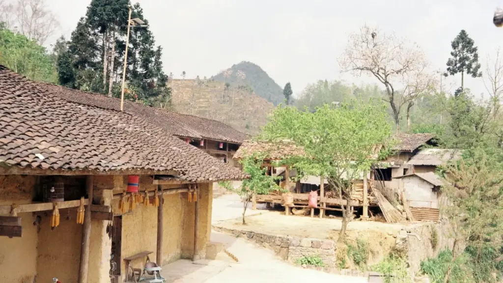 Guia prático para marcas angolanas identificarem e activarem criadores paraguaios no Twitter para lançar linhas de suplementos.