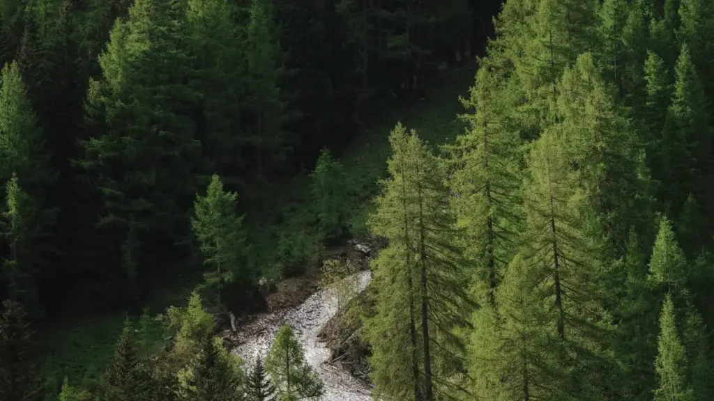 Guia prático para criadores em Angola que querem abordar marcas Jordan no Reddit e gerar reviews de novas funcionalidades de jogos.