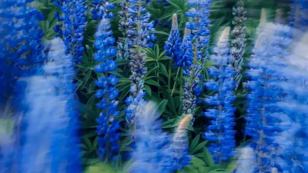 Guia prático para criadores em Angola: tácticas reais para abordar marcas eslovenas via Douyin e colocar artistas emergentes em destaque.