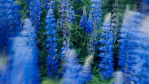 Guia prático para criadores em Angola: tácticas reais para abordar marcas eslovenas via Douyin e colocar artistas emergentes em destaque.