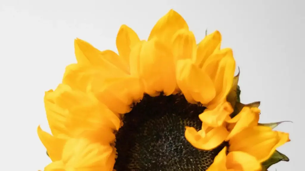 Guia prático para anunciantes em Angola: como identificar e contratar criadores Viber no Camboja para promover lançamentos de jogos mobile, com tácticas locais, canais, e exemplos reais.