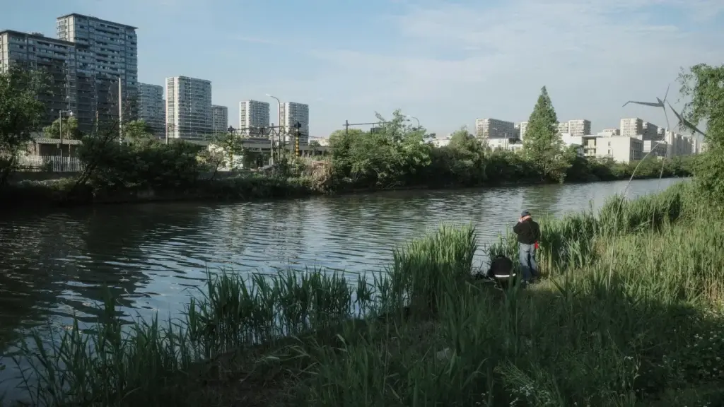 Guia prático para criadores em Angola alcançarem marcas da Dinamarca no Twitter e garantir features para artistas emergentes.