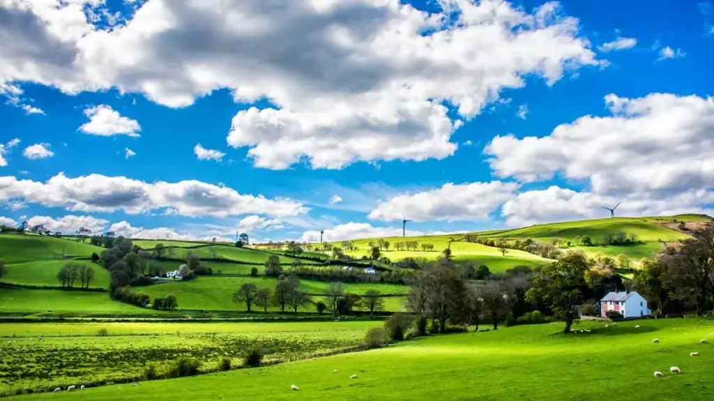 Guia prático para anunciantes em Angola sobre como identificar e recrutar criadores Etsy baseados nos EAU para programas de afiliados via influencers.