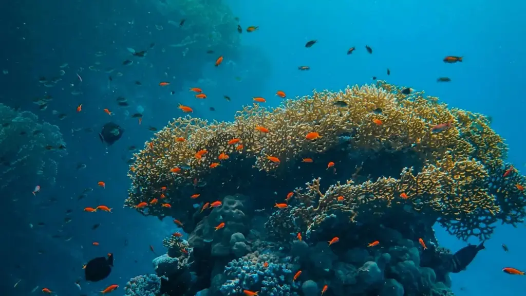 Guia prático para criadores em Angola sobre como conectar com marcas do Cazaquistão no Apple Music e partilhar before‑and‑after que vendem — tácticas, contactos, e erros a evitar.