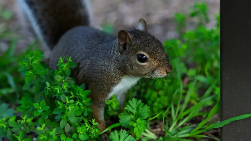 Guia prático para criadores em Angola: como contactar marcas da Etiópia no Pinterest para vídeos de unboxing, com táticas, compliance e exemplos reais.