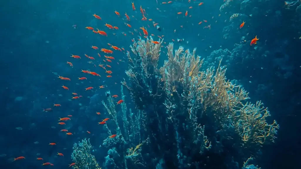 Guia prático para anunciantes em Angola: como identificar, avaliar e negociar com criadores indianos no Clubhouse e via streamers para aumentar instalações de apps.