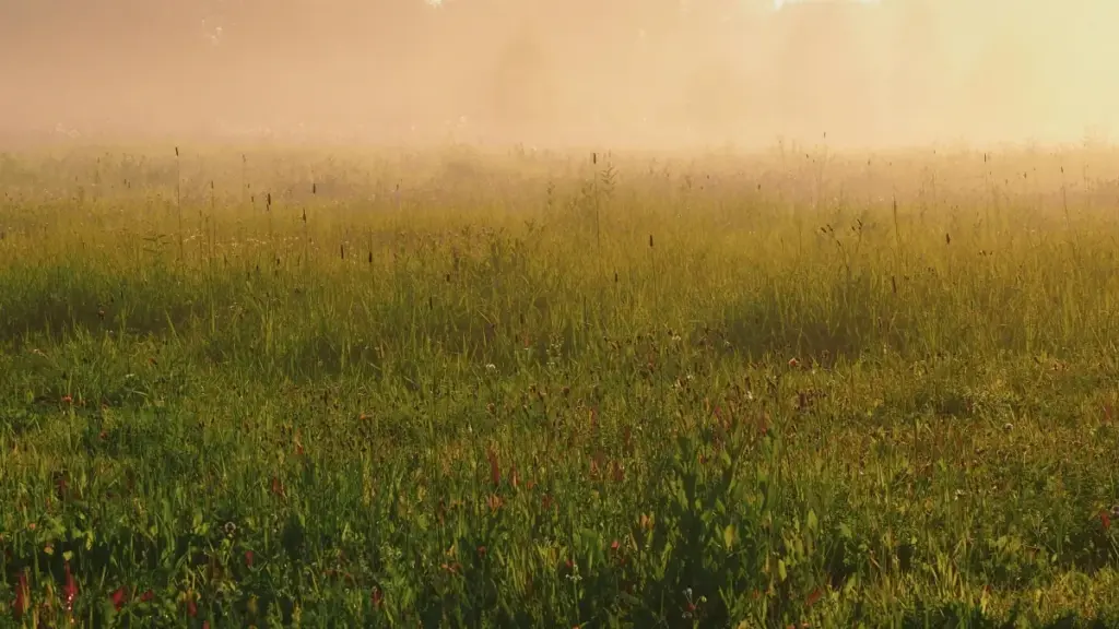 Tática prática para criadores em Angola abordarem marcas do Quénia ligadas ao Netflix, ganharem confiança e fecharem parcerias que duram.