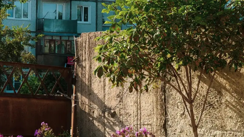 Guia prático para achar criadores do Sri Lanka no WhatsApp, validar perfis, evitar embustes e puxar conteúdo viral com mais segurança.