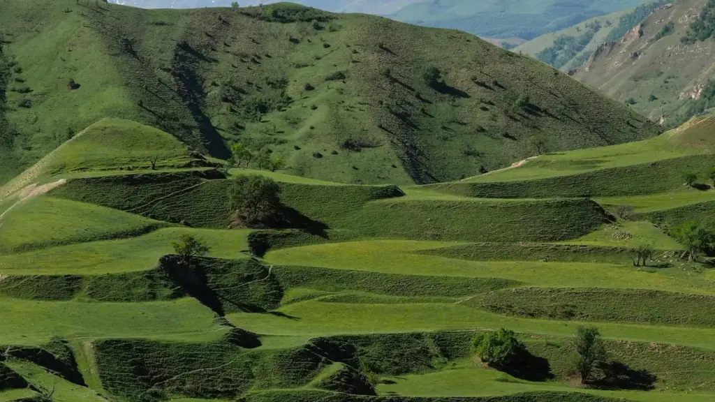 Como achar criadores de Laos no Line para lançar suplementos com mais fit, menos desperdício e melhor leitura do público — sem cair em campanha manhosa.
