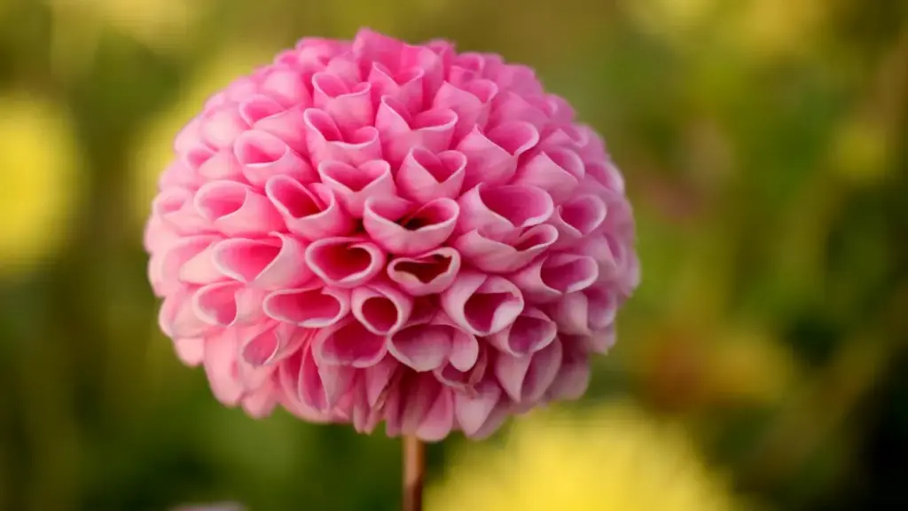 Como abordar marcas da Polónia no Threads para fechar colaborações em gameplay challenges, com dicas práticas, tendências e um plano que funciona mesmo.